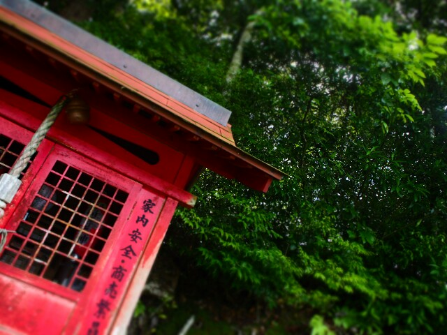 f:id:miyacoba:20160618175318j:image f:id:miyacoba:20160618175318j:image