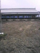 f:id:miyakefarm:20041207163349j:image:left f:id:miyakefarm:20041207163349j:image:left
