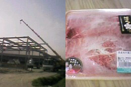 f:id:miyakefarm:20050309094559j:image:left f:id:miyakefarm:20050309094559j:image:left