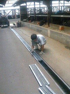 f:id:miyakefarm:20071214124016j:image:left f:id:miyakefarm:20071214124016j:image:left