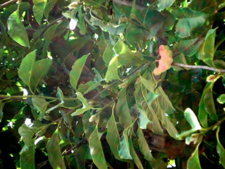 f:id:miyaketti:20130831115537j:plain f:id:miyaketti:20130831115537j:plain