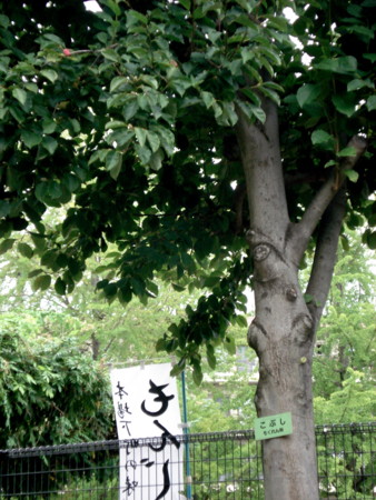 f:id:miyaketti:20130908164014j:plain f:id:miyaketti:20130908164014j:plain