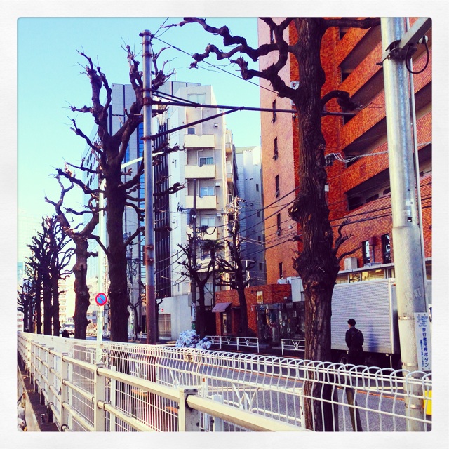 f:id:miyamomi:20150114095746j:plain f:id:miyamomi:20150114095746j:plain