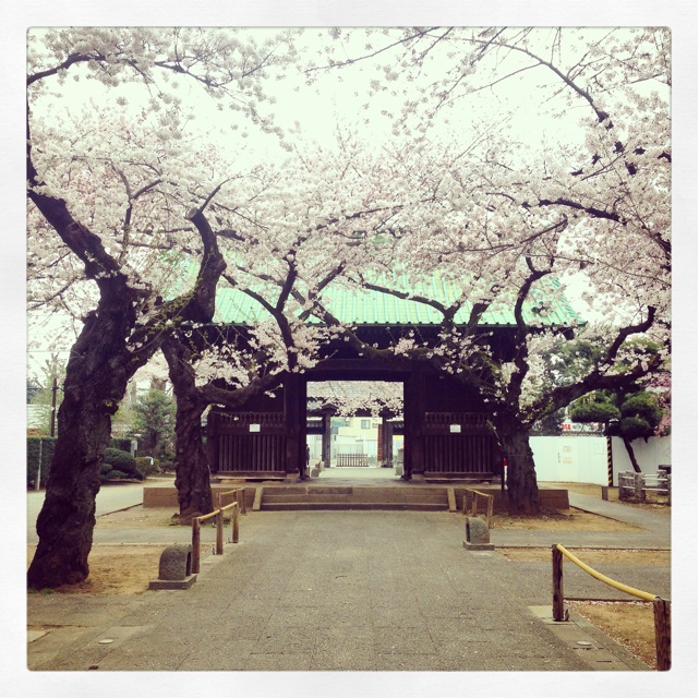 f:id:miyamomi:20150401101620j:plain f:id:miyamomi:20150401101620j:plain