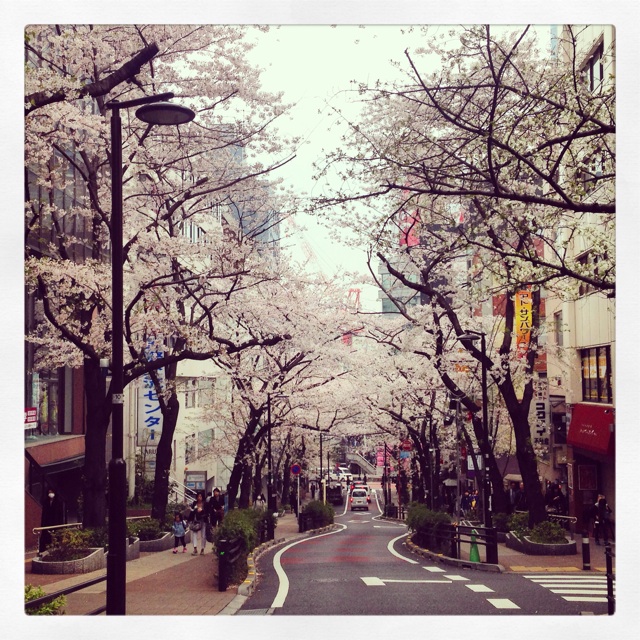 f:id:miyamomi:20150401102016j:plain f:id:miyamomi:20150401102016j:plain
