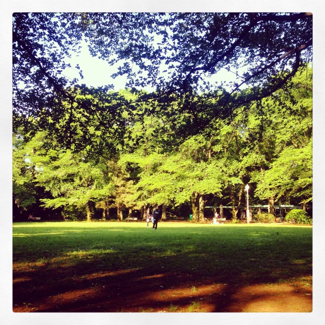 f:id:miyamomi:20150507131528j:plain f:id:miyamomi:20150507131528j:plain