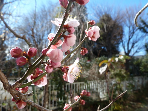f:id:miyasakihiro:20150123123327j:plain f:id:miyasakihiro:20150123123327j:plain