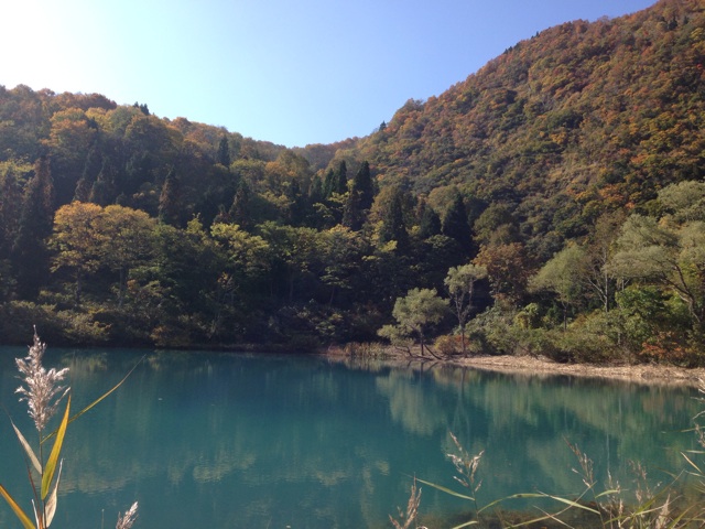 f:id:miyux0x0x:20131105100636j:plain f:id:miyux0x0x:20131105100636j:plain