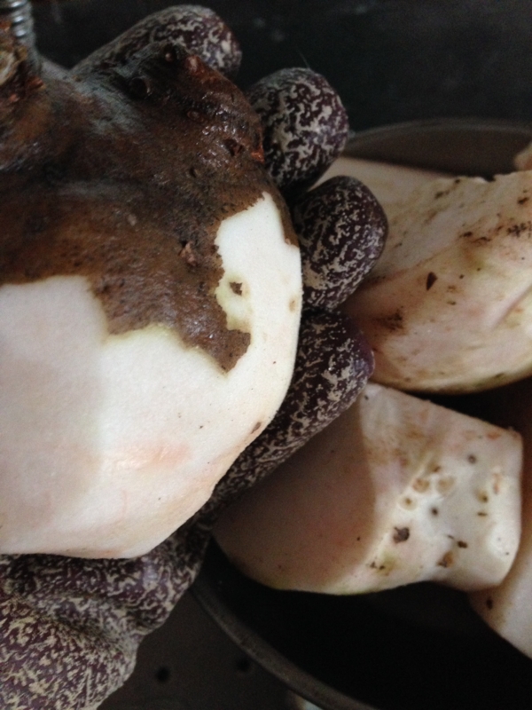 f:id:miyux0x0x:20150310130615j:plain