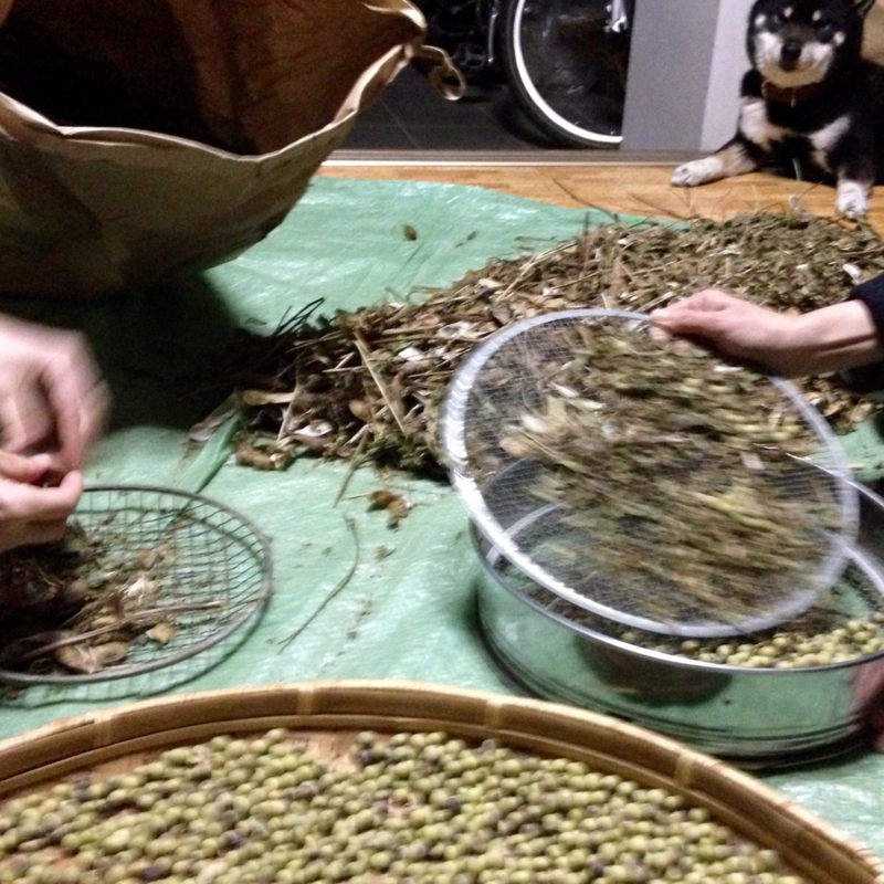 f:id:miyux0x0x:20150404191627j:plain f:id:miyux0x0x:20150404191627j:plain