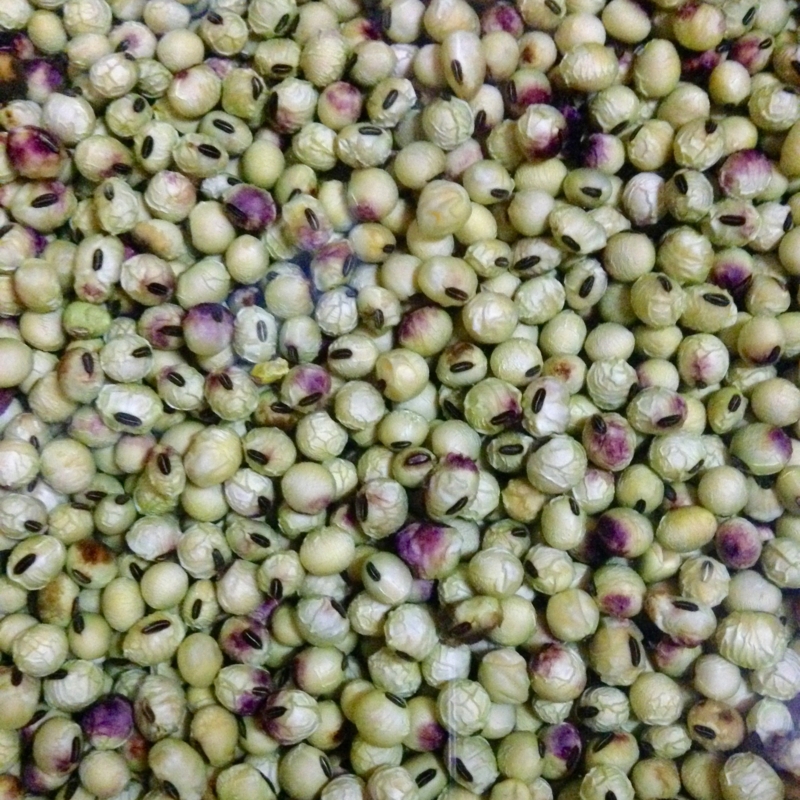 f:id:miyux0x0x:20150420212744j:plain f:id:miyux0x0x:20150420212744j:plain