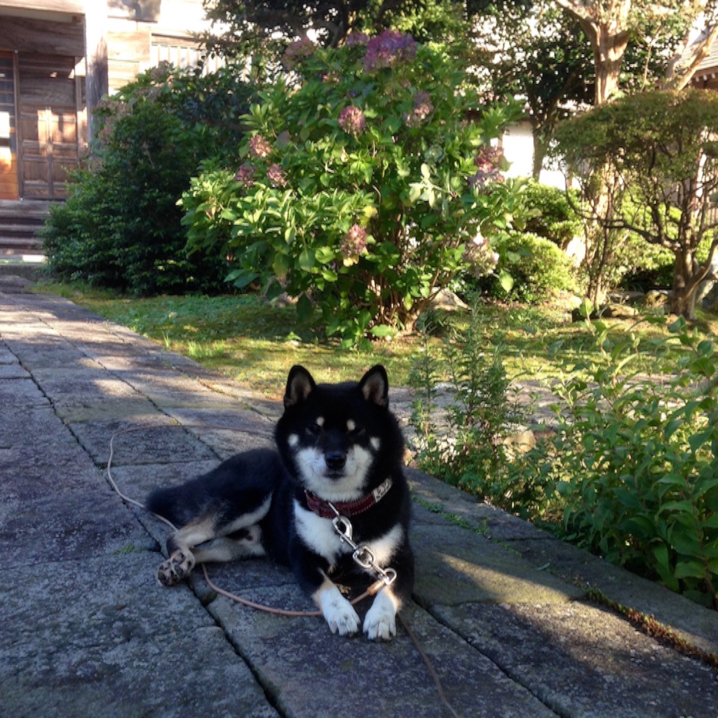 f:id:miyux0x0x:20150924125316j:image f:id:miyux0x0x:20150924125316j:image