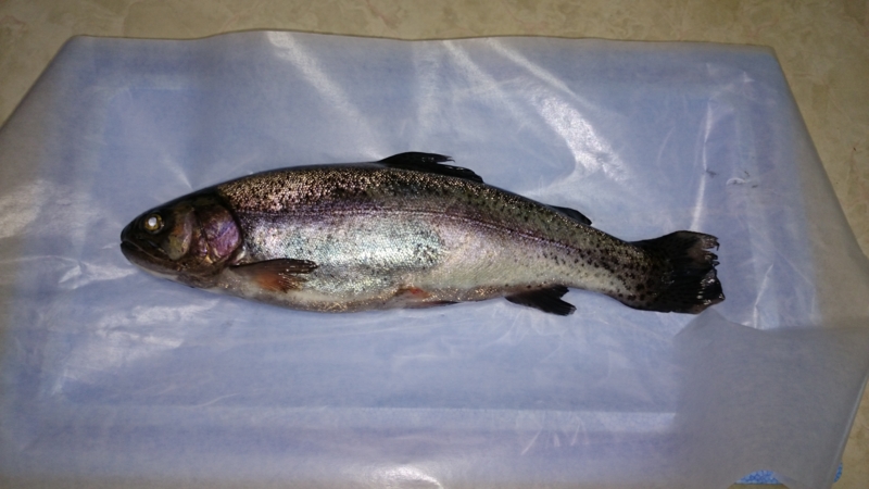 f:id:miz7maki:20150308184341j:plain f:id:miz7maki:20150308184341j:plain