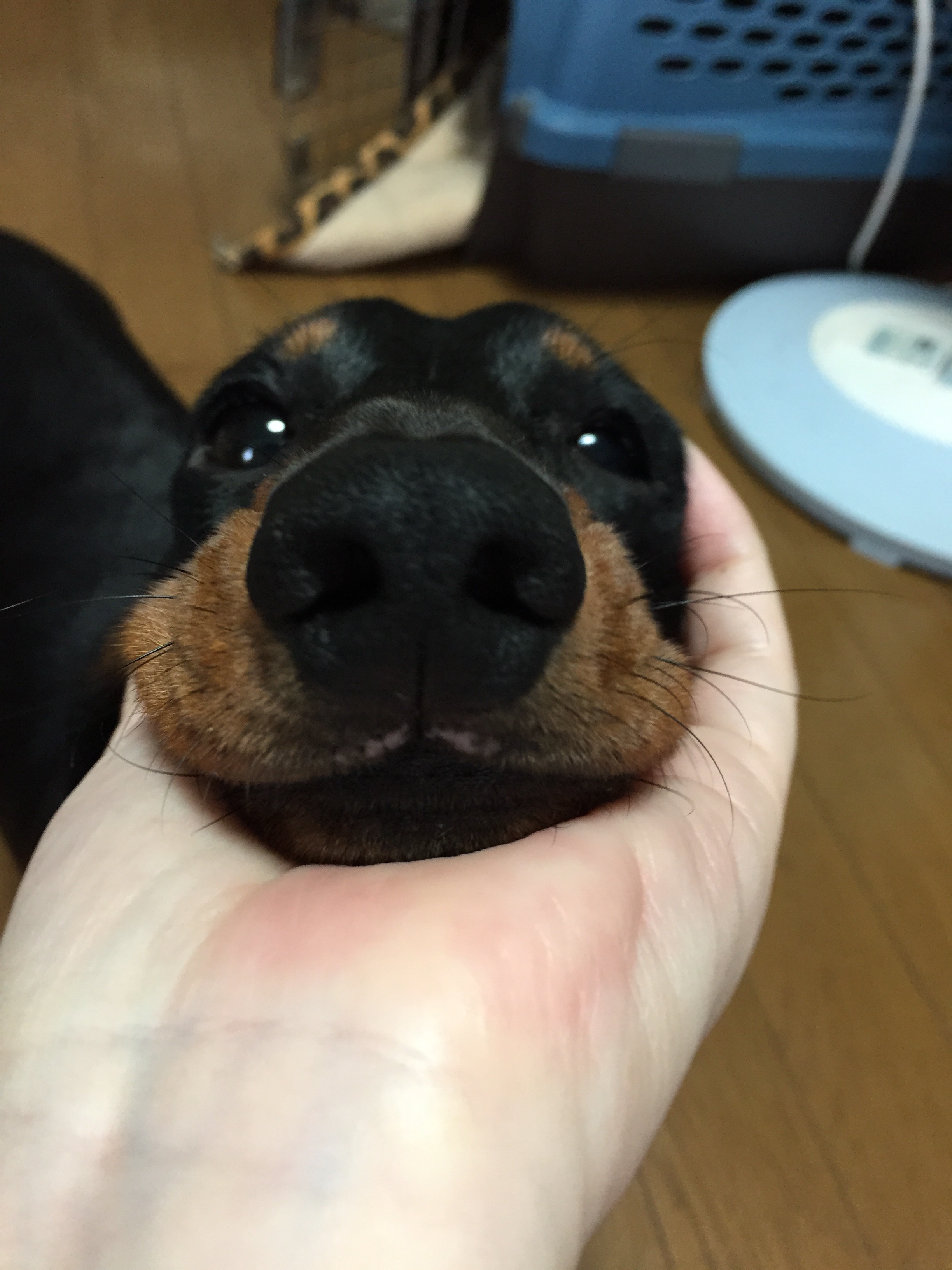 f:id:mizu2:20150901173740j:image f:id:mizu2:20150901173740j:image
