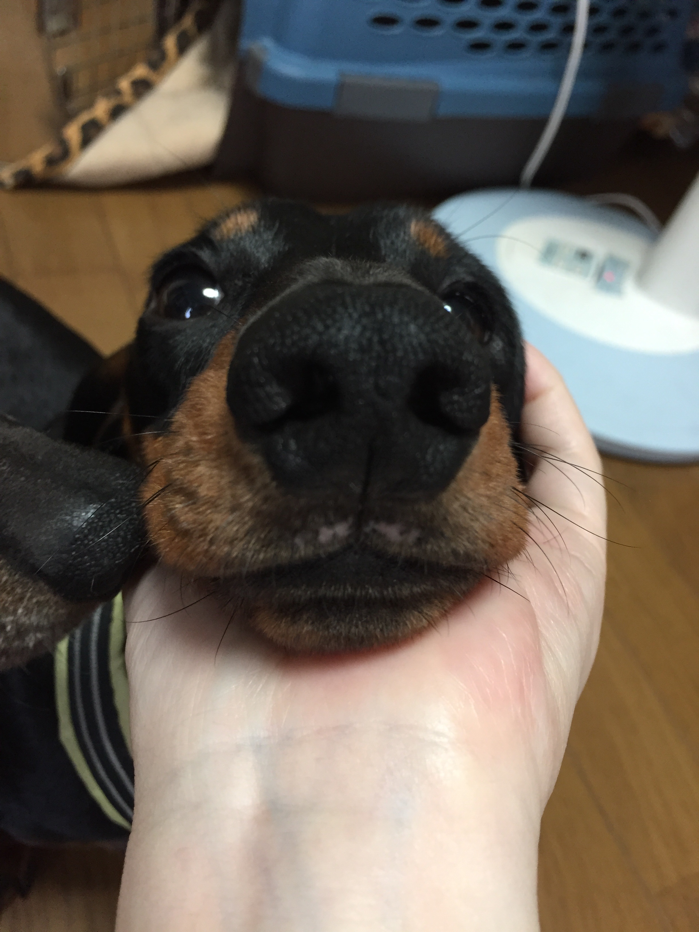 f:id:mizu2:20150901173831j:image f:id:mizu2:20150901173831j:image