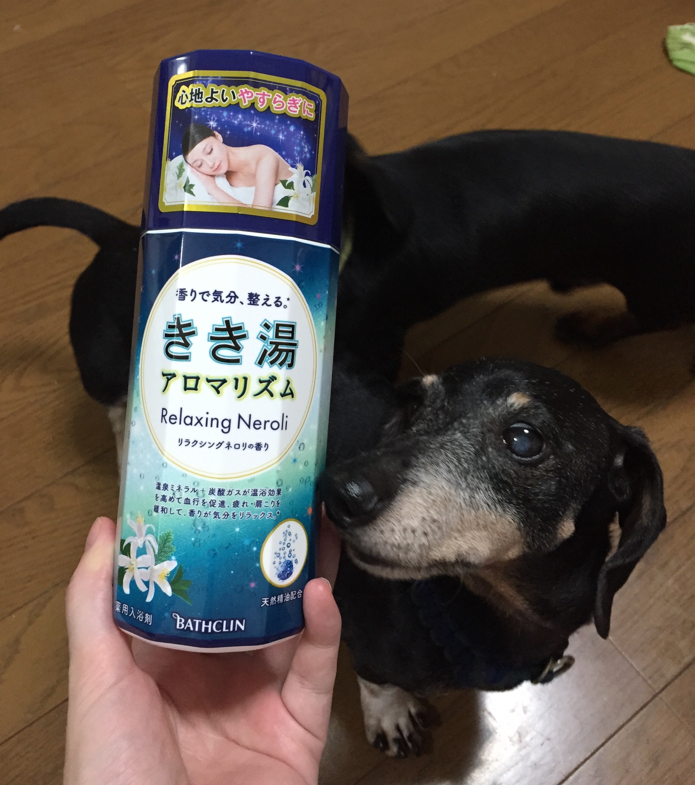 f:id:mizu2:20150903010126j:image f:id:mizu2:20150903010126j:image