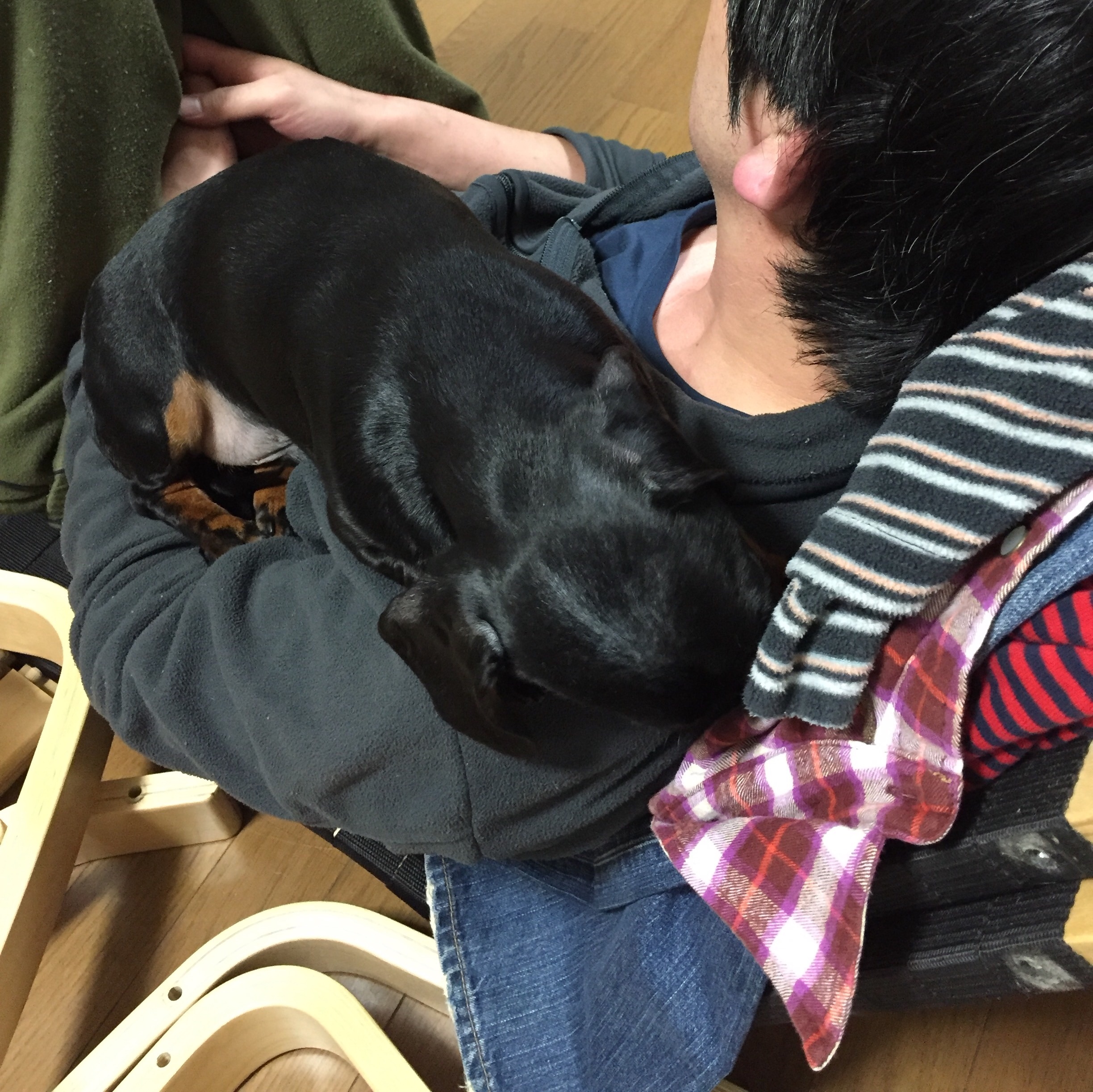 f:id:mizu2:20160220231428j:image f:id:mizu2:20160220231428j:image