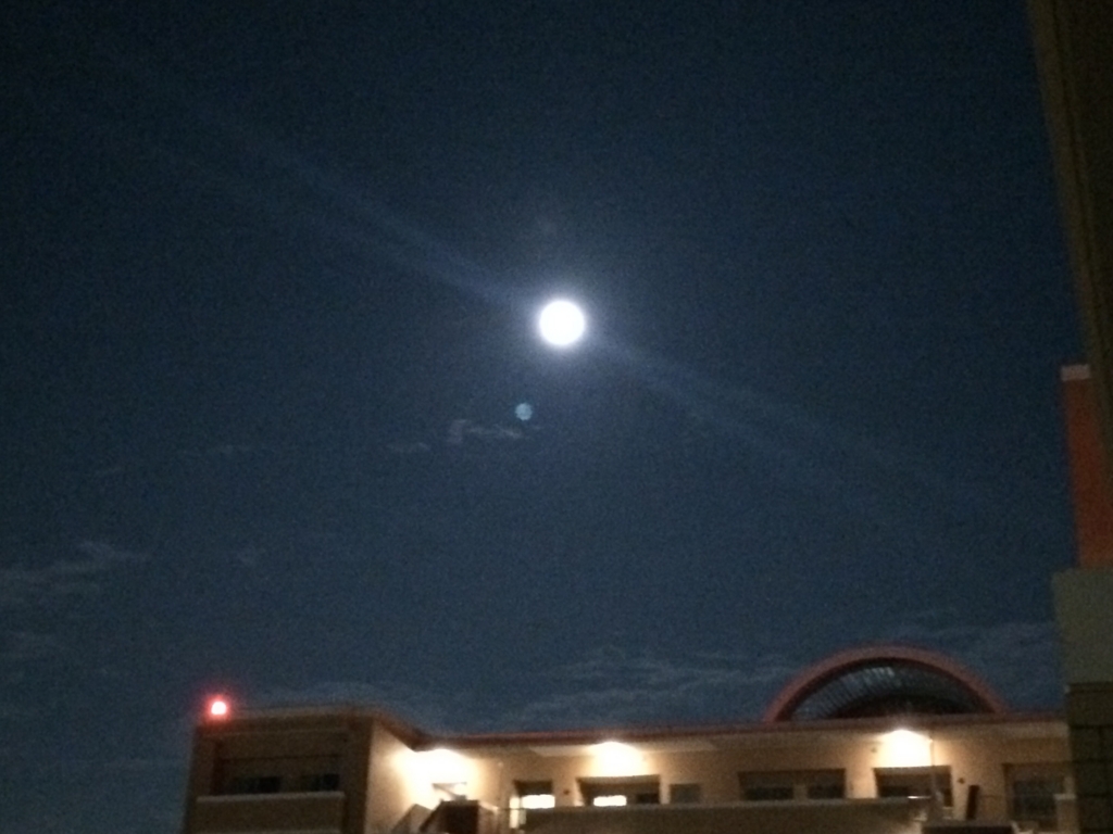 f:id:mizubashow:20150928091929j:plain f:id:mizubashow:20150928091929j:plain