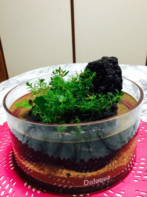 f:id:mizusuke:20140325010638j:plain f:id:mizusuke:20140325010638j:plain