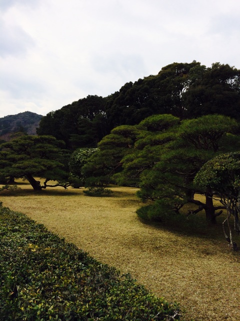 f:id:mizusuke:20140325215907j:plain f:id:mizusuke:20140325215907j:plain