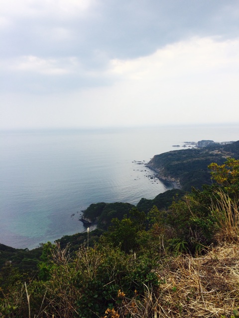 f:id:mizusuke:20140325220218j:plain f:id:mizusuke:20140325220218j:plain