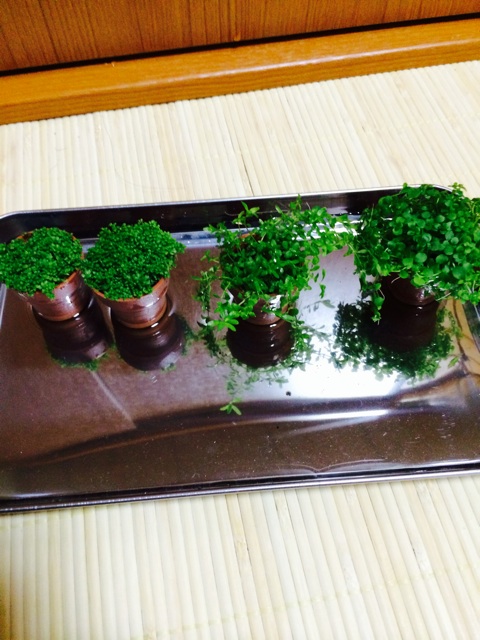 f:id:mizusuke:20140330230403j:plain f:id:mizusuke:20140330230403j:plain