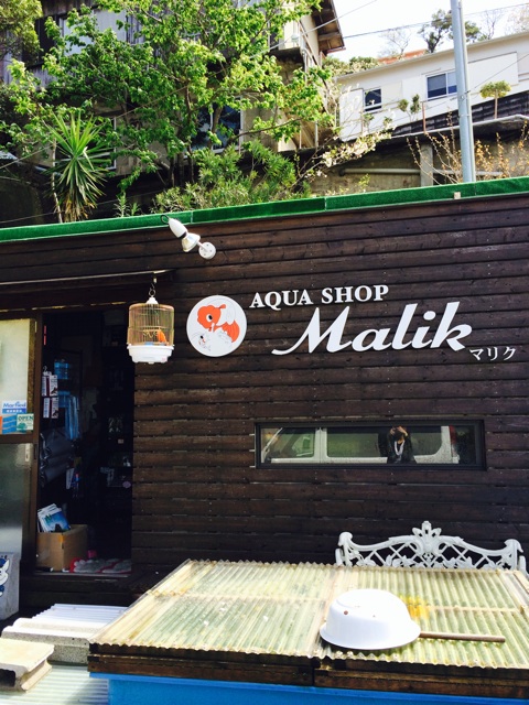 f:id:mizusuke:20140330234104j:plain f:id:mizusuke:20140330234104j:plain