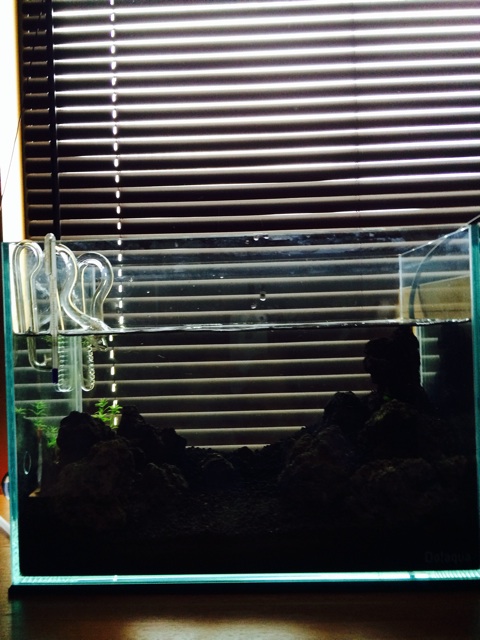 f:id:mizusuke:20140331000045j:plain f:id:mizusuke:20140331000045j:plain
