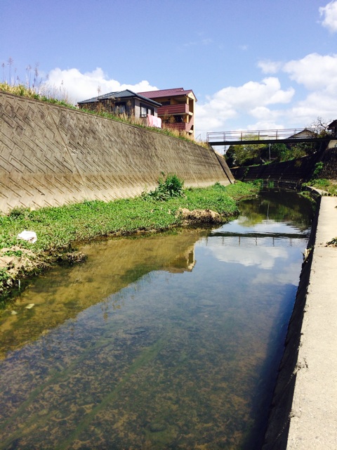 f:id:mizusuke:20140403134347j:plain f:id:mizusuke:20140403134347j:plain