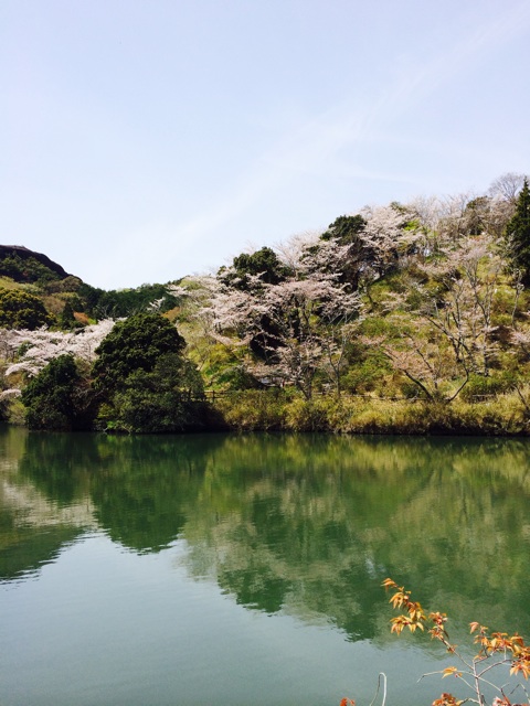 f:id:mizusuke:20140407150432j:plain f:id:mizusuke:20140407150432j:plain