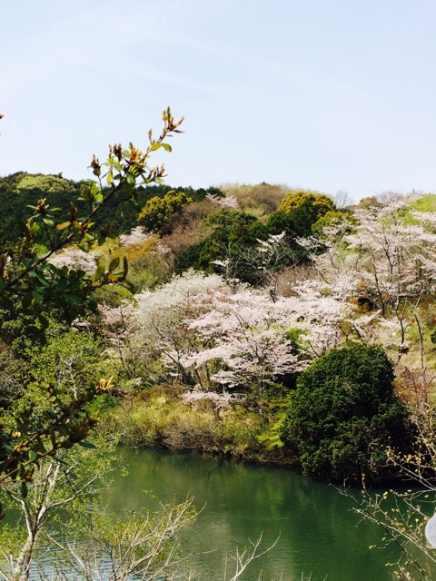 f:id:mizusuke:20140407150459j:plain f:id:mizusuke:20140407150459j:plain