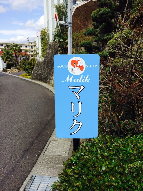 f:id:mizusuke:20140423234357j:plain f:id:mizusuke:20140423234357j:plain