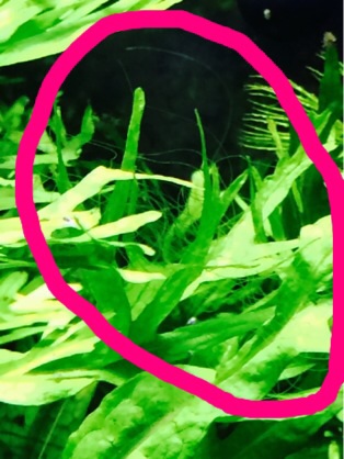 f:id:mizusuke:20140524012734j:plain f:id:mizusuke:20140524012734j:plain