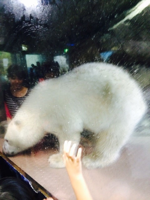 f:id:mizusuke:20150117033245j:plain f:id:mizusuke:20150117033245j:plain