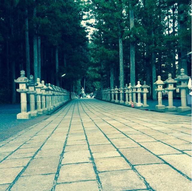 f:id:mizusuke:20150119030046j:plain f:id:mizusuke:20150119030046j:plain