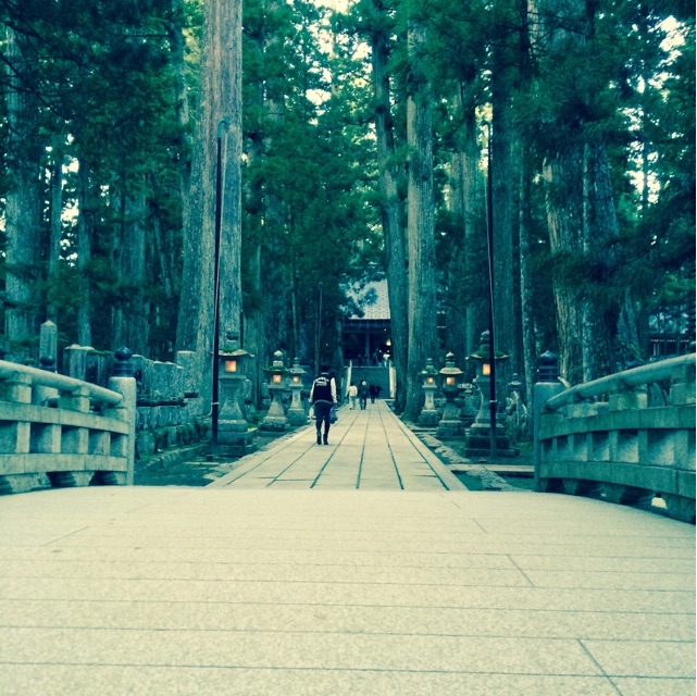 f:id:mizusuke:20150119030059j:plain f:id:mizusuke:20150119030059j:plain