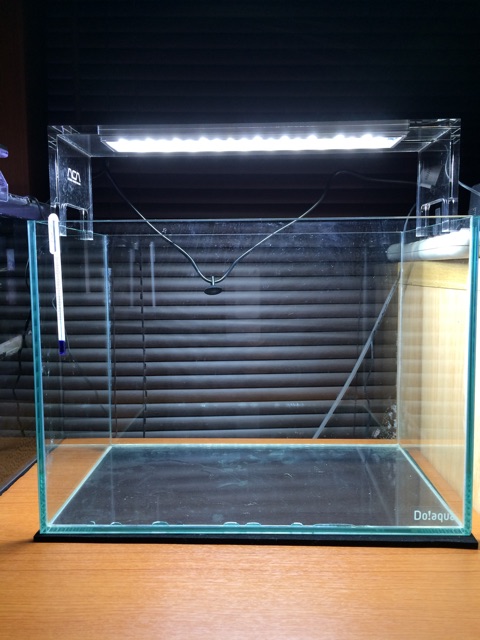 f:id:mizusuke:20150121024420j:plain f:id:mizusuke:20150121024420j:plain