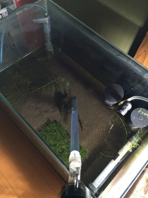 f:id:mizusuke:20150227015057j:plain f:id:mizusuke:20150227015057j:plain