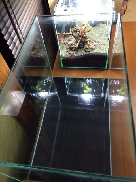 f:id:mizusuke:20150227015401j:plain f:id:mizusuke:20150227015401j:plain