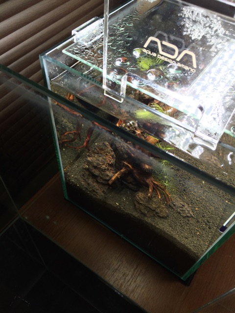 f:id:mizusuke:20150301030842j:plain f:id:mizusuke:20150301030842j:plain