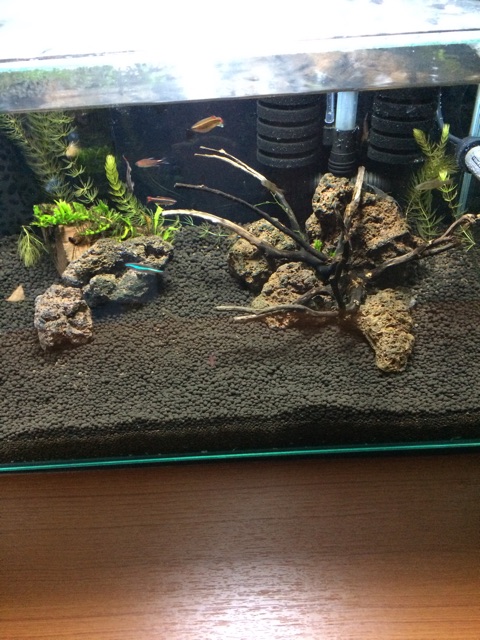 f:id:mizusuke:20150307020539j:plain f:id:mizusuke:20150307020539j:plain
