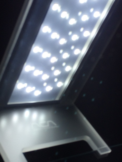 f:id:mizusuke:20150327035422j:plain f:id:mizusuke:20150327035422j:plain