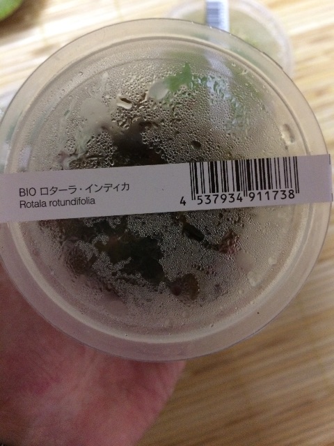 f:id:mizusuke:20150503023549j:image f:id:mizusuke:20150503023549j:image