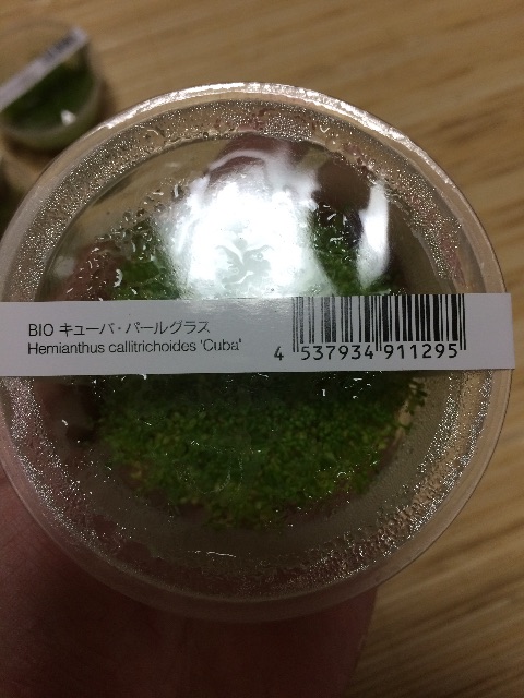 f:id:mizusuke:20150603043425j:image f:id:mizusuke:20150603043425j:image