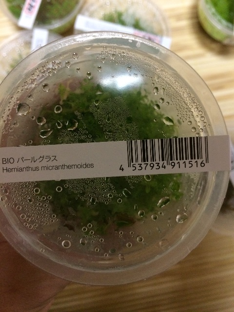 f:id:mizusuke:20150603043513j:image f:id:mizusuke:20150603043513j:image