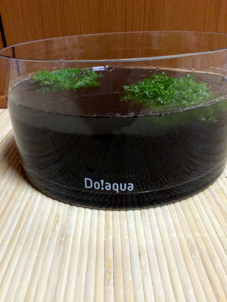 f:id:mizusuke:20151005070205j:image f:id:mizusuke:20151005070205j:image