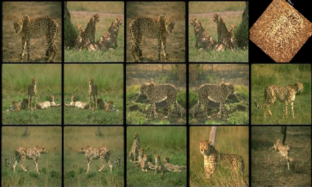 f:id:mjmania:20100123134027p:image f:id:mjmania:20100123134027p:image
