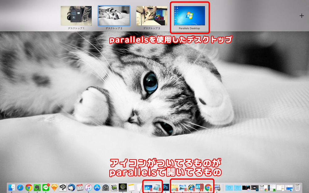 f:id:ml_syta:20151223213553j:plain f:id:ml_syta:20151223213553j:plain