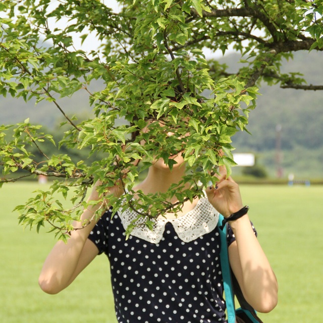 f:id:mmmitn:20140818233840j:plain f:id:mmmitn:20140818233840j:plain
