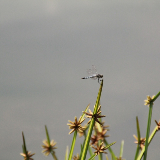f:id:mmmitn:20140818234124j:plain f:id:mmmitn:20140818234124j:plain